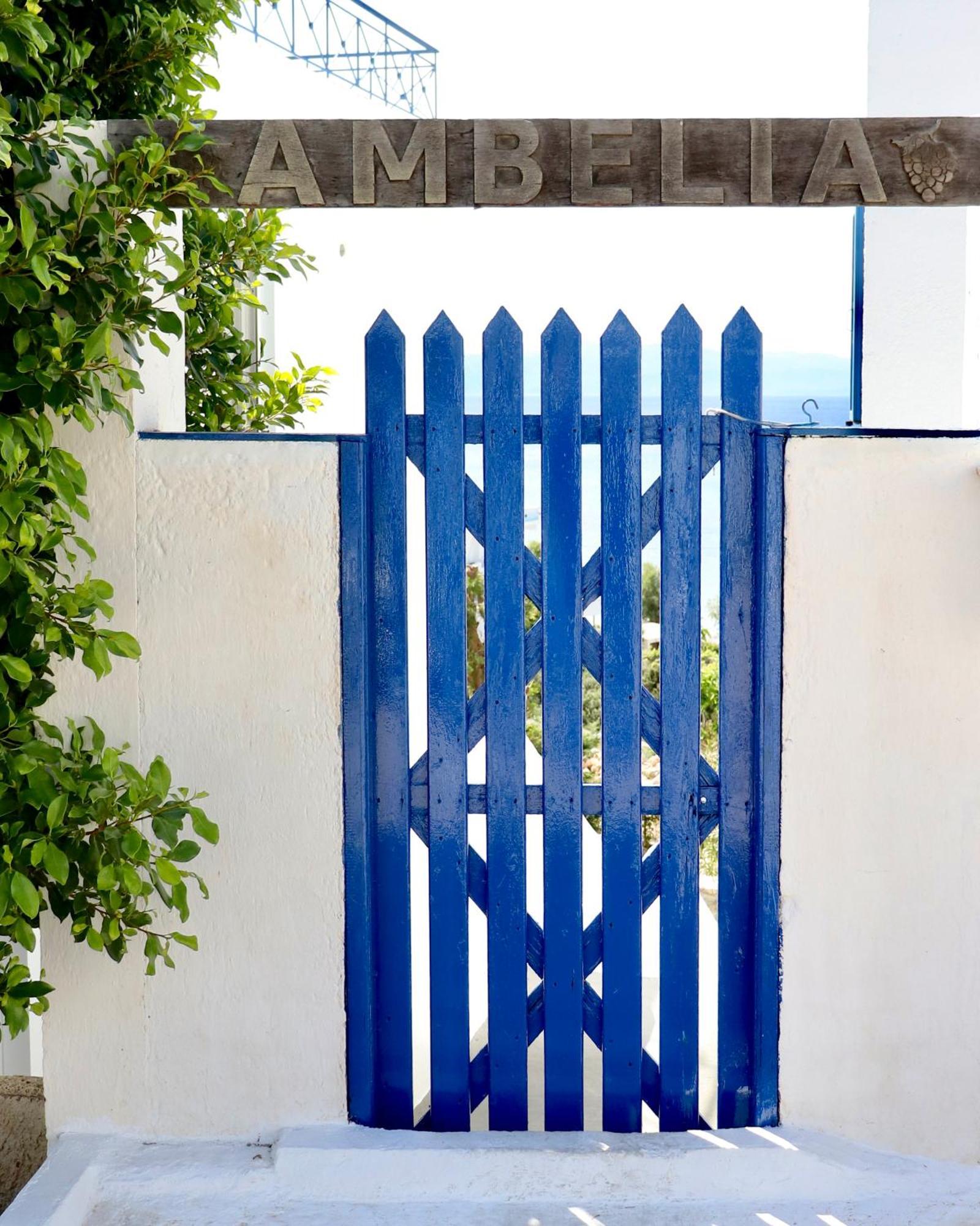 4 Ambelia Paradise Megalochori  Buitenkant foto